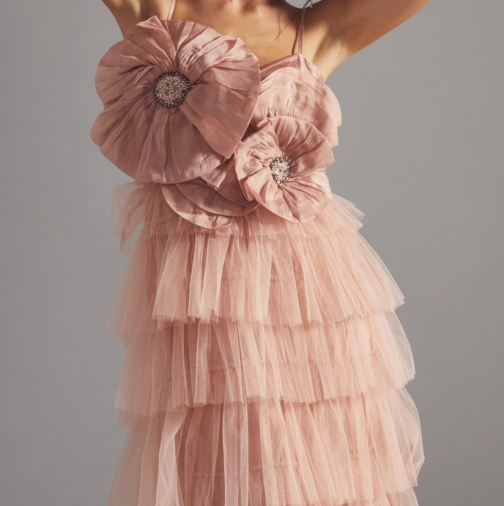 Anthropologie Kavita Bhartia Rosette Tiered Tulle gown